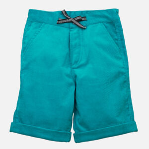 Popsicles Teal Shorts Regular Fit For Boys